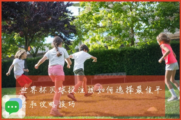 世界杯买球投注该如何选择最佳平台和攻略技巧