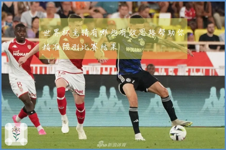 世界杯竞猜有哪些有效思路帮助你精准预测比赛结果