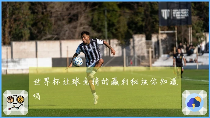 世界杯让球竞猜的赢利秘诀你知道吗