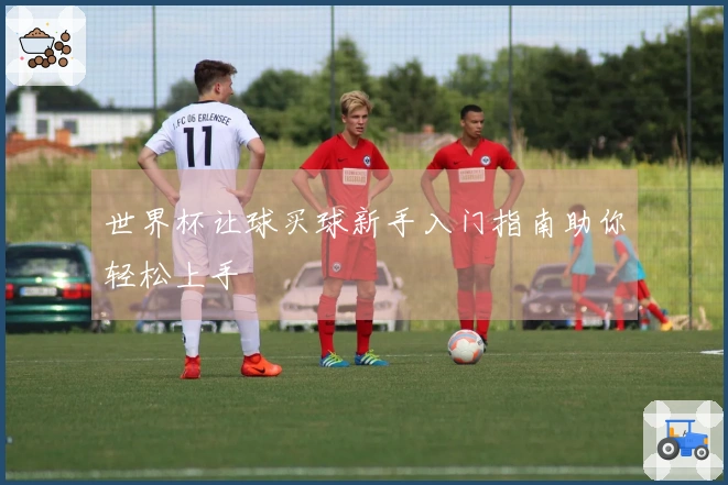 世界杯让球买球新手入门指南助你轻松上手