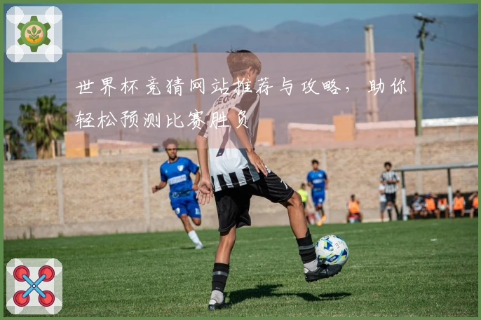 世界杯竞猜网站推荐与攻略，助你轻松预测比赛胜负