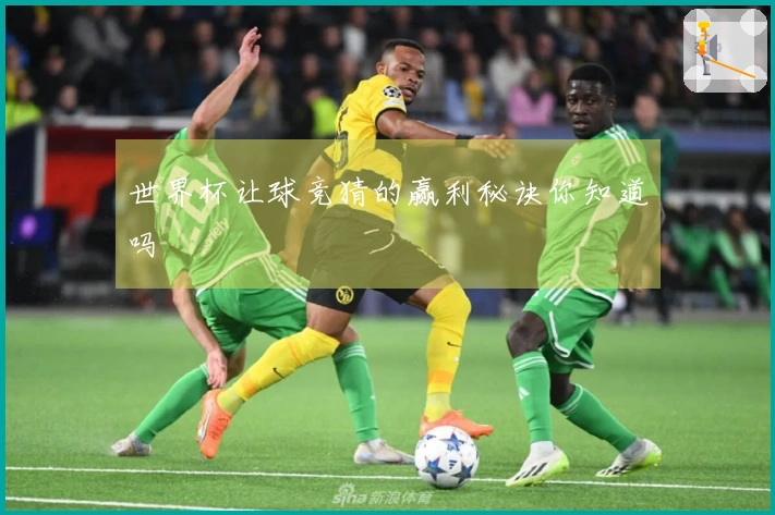 世界杯让球竞猜的赢利秘诀你知道吗